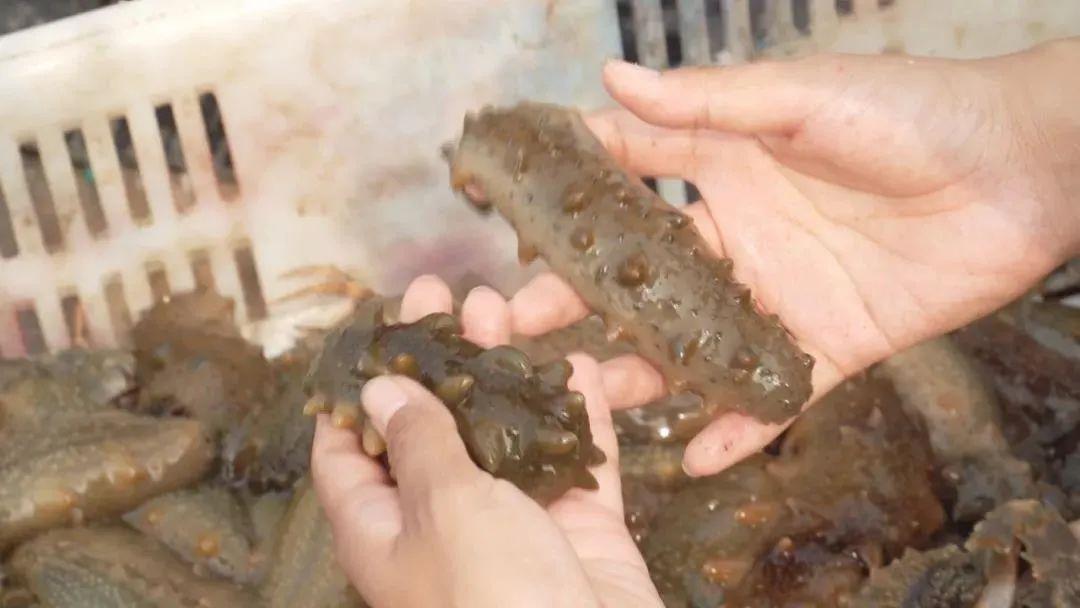 汽车零部件 第281页
