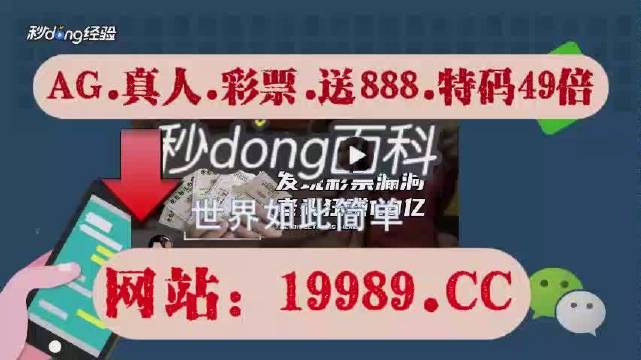 自行车配件 第246页