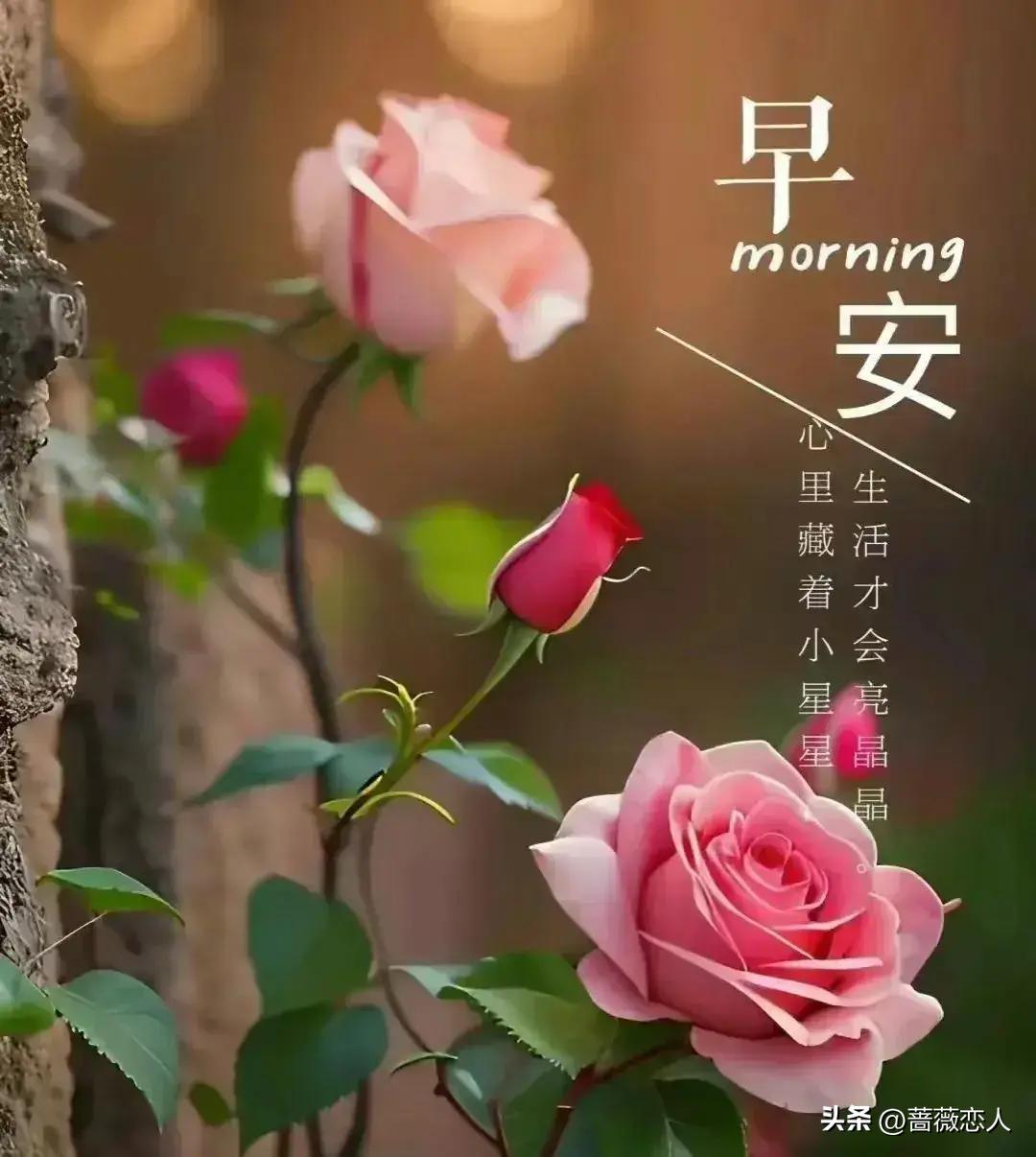 汽车零部件 第185页