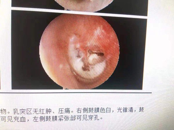 电器配件的生产销售 第167页