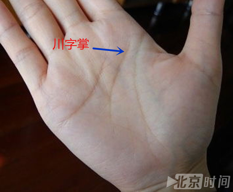自行车配件 第145页