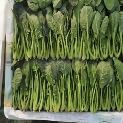 电器配件的生产销售 第59页