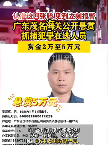 电器配件的生产销售 第28页