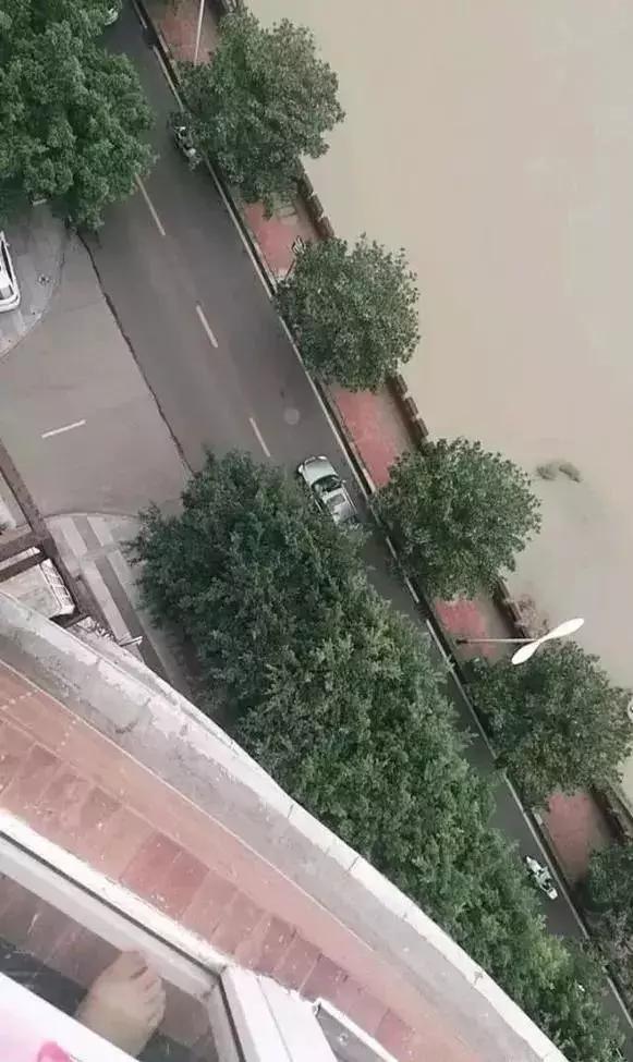 自行车配件 第18页