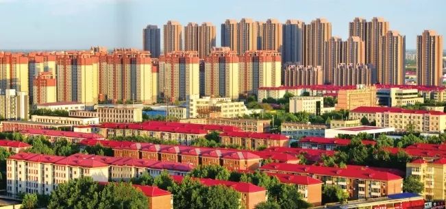 中国石油最新矿区改革动态概览