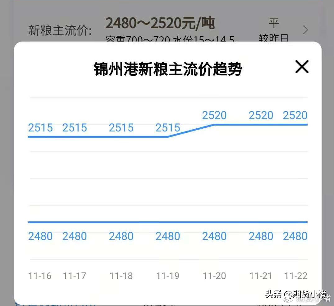 锦州港玉米最新价格揭秘，港畔的玉米情缘探秘